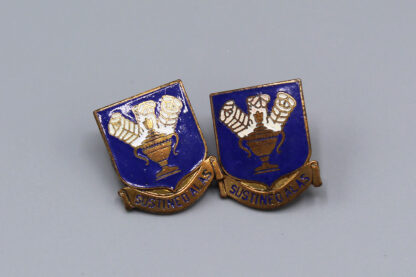 USAAF WW2 Tech Training Command DI Pair - Post Back . DIS198