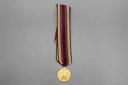 US Civilian Gilt Valor & Bravery Medal (Navy) . YMU549