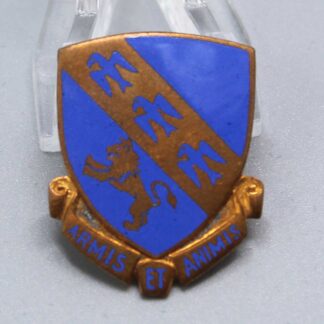 US 317th Infantry Regiment DI . FLU4749