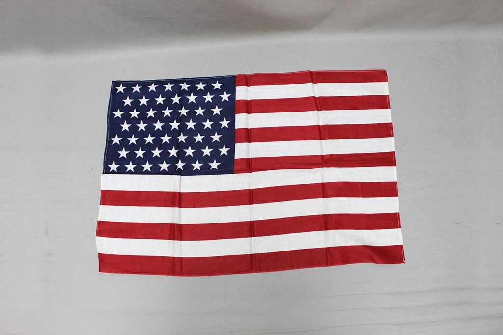 American Vintage 49 Star Flag FLU6147 Time Traveler Militaria american-vintage-49-star-flag-flu6147-time-traveler-militaria