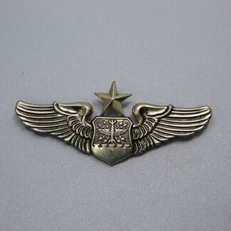 USAF Senior Navigator Wings NS Meyer . W273
