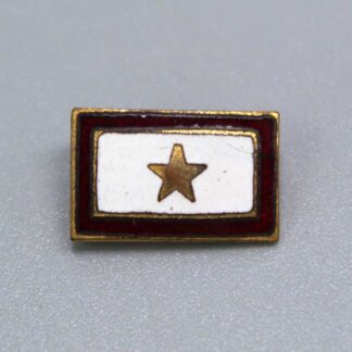 US Homefront One Gold Star KIA Small Pin 1917 . FLU4836