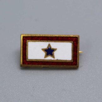 US Homefront One Blue Star Pin Son-in-Service . FLU4837