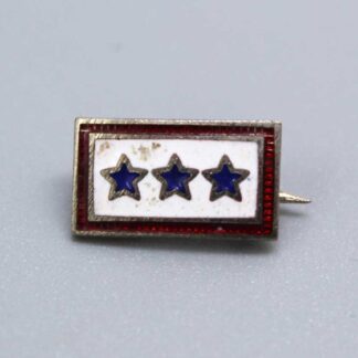 US Homefront 3 Blue Star pin Son-in-Service . FLU4838