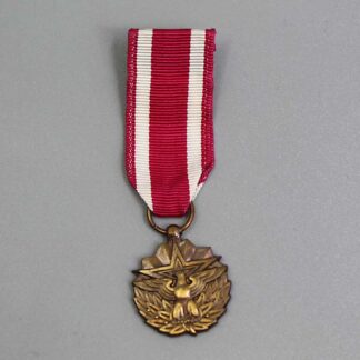 US Miniature Meritorious Service Medal . YMU4825