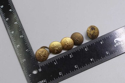 WW2 German Group of 5 NSDAP Political Buttons . EFL4728 - Image 5