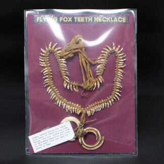 Flying Fox Teeth Necklace Papua New Guinea . ANT231