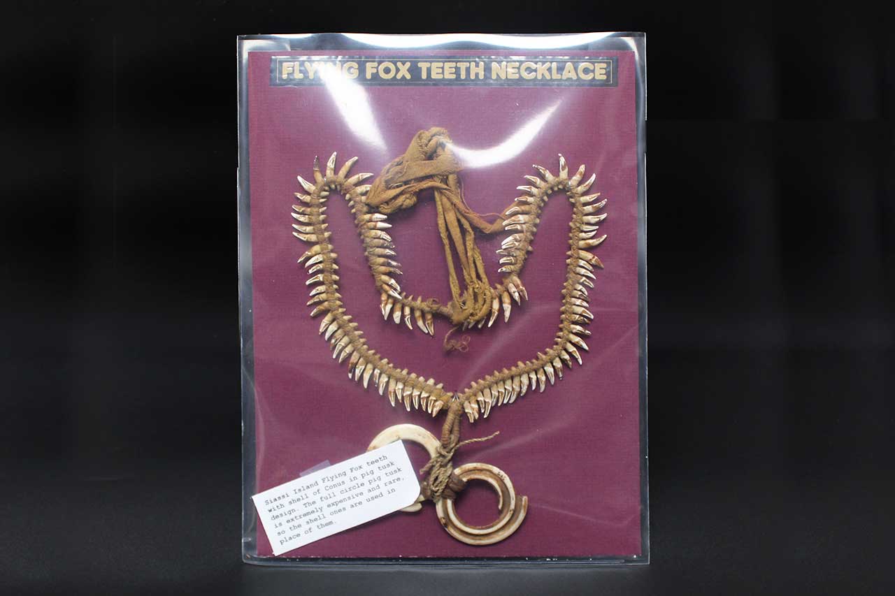 Flying Fox Teeth Necklace Papua New Guinea . ANT231 - Time Traveler ...