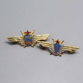 Group of 2 Soviet Pins . WMR331