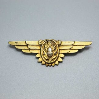 US Navy Flight Surgeon Wings . W310