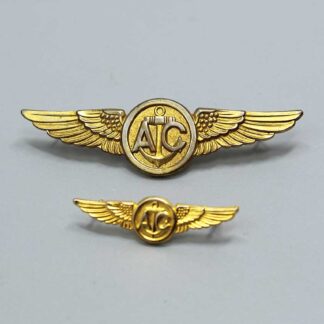 US Navy-Marine Air Crew Wings Gemsco w/mini . W316
