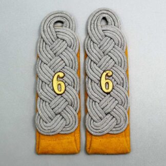 WW2 German Cavalry Officer Rgt 6 Boards . EFL4844