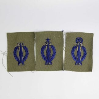 USAF Missile Man Insignia Group . USP1347