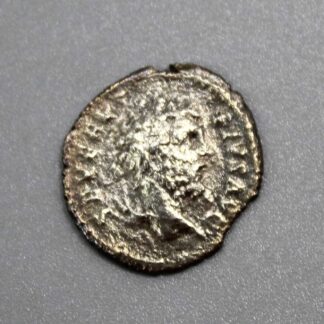 Silver Denari Roman Coin Septimus Severus 193-211 AD . COIN364