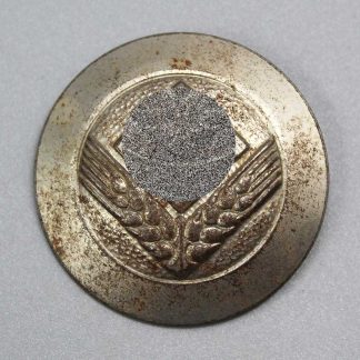 WW2 German RADwJ Arbeitsmaid Rank Brooch (Broken Pin) . PIN423